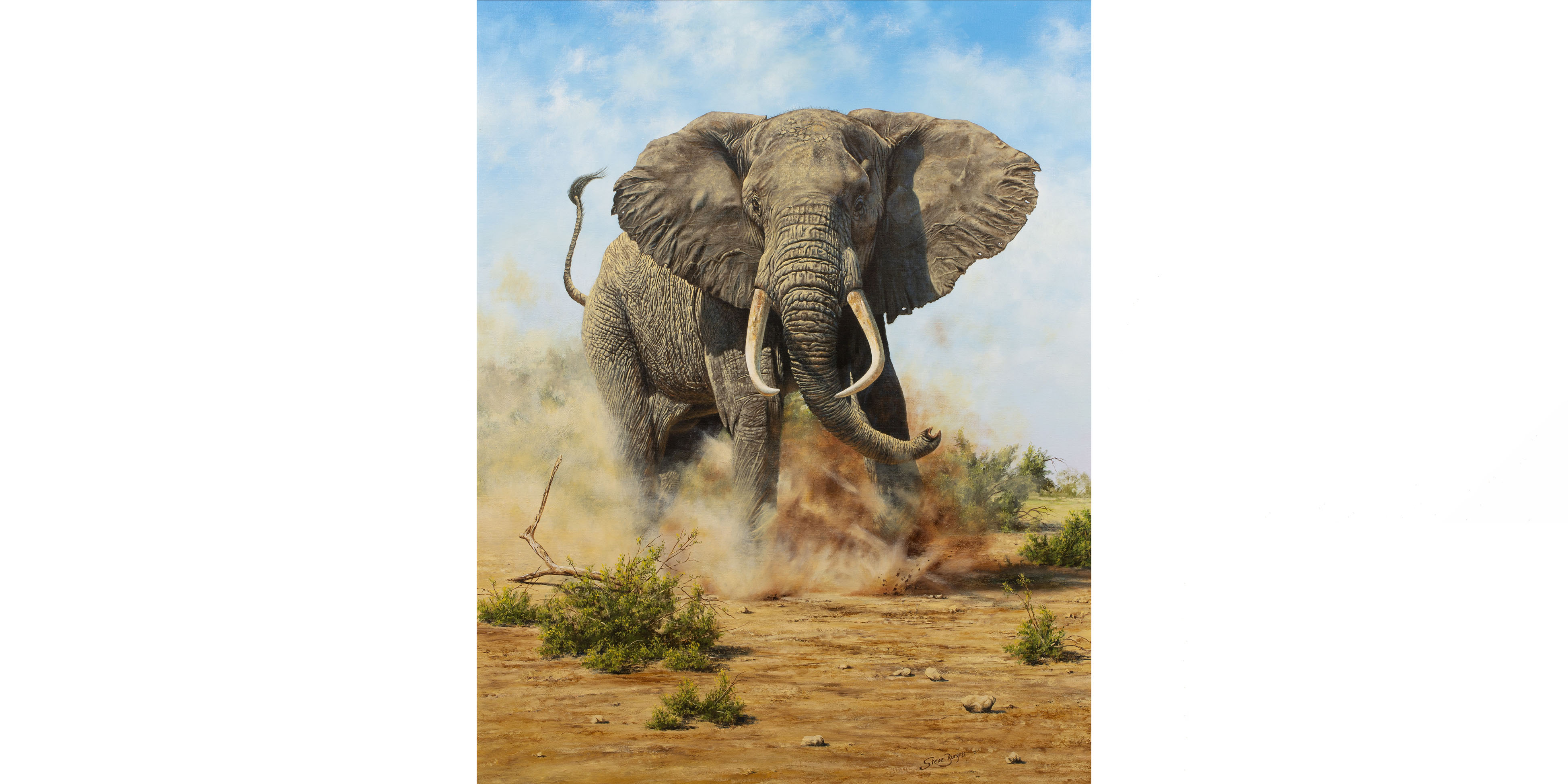 Wildlife Art Proves Popular at Mallams’ 16 August Modern Living Sale